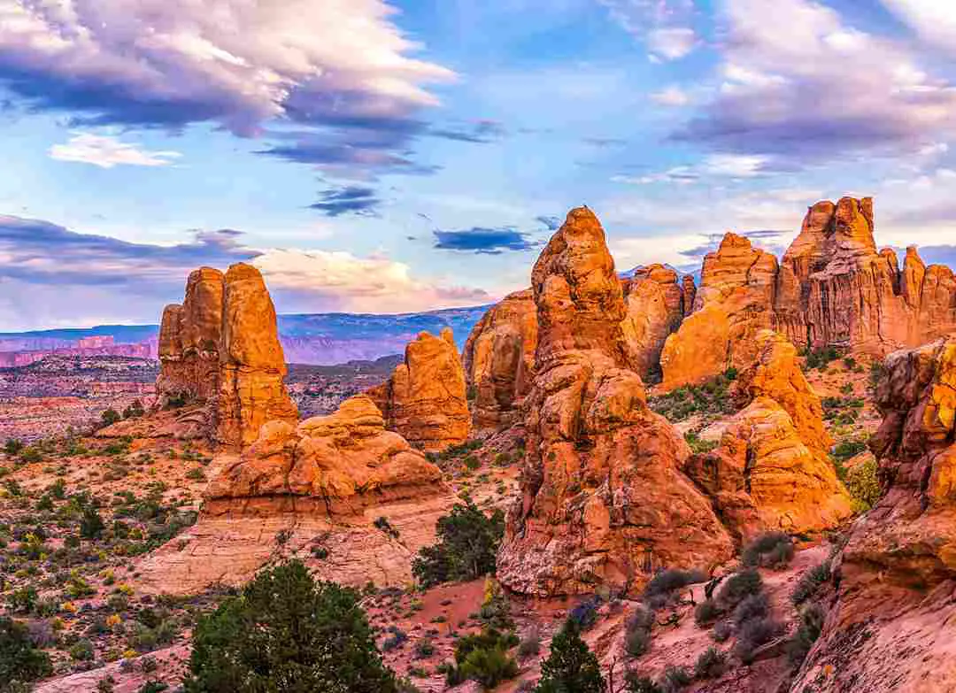 Romantic Picnic at Red Rock Canyon