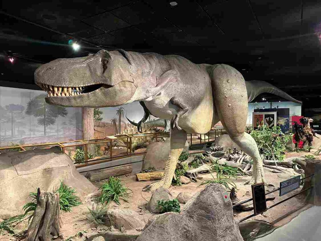 The Las Vegas Natural History Museum