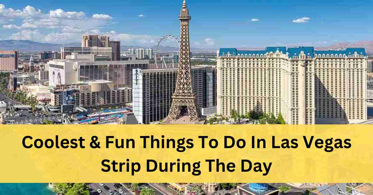 Coolest & Fun Things To Do In Las Vegas Strip During The Day