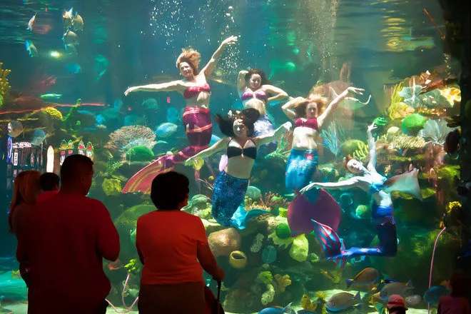 The Aquarium at the Silverton Hotel las vegas