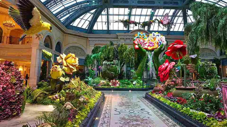 The beauty of the Bellagio Conservatory & Botanical Garden