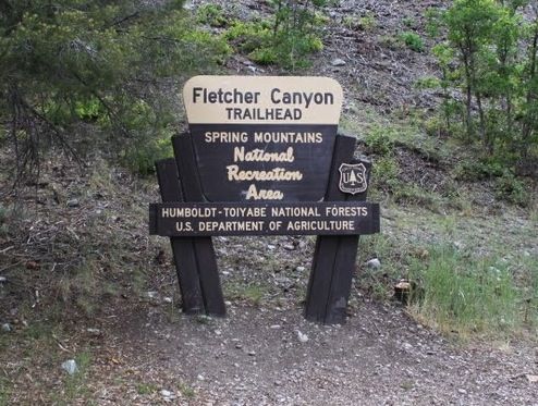Fletcher Canyon Trail (Mount Charleston)