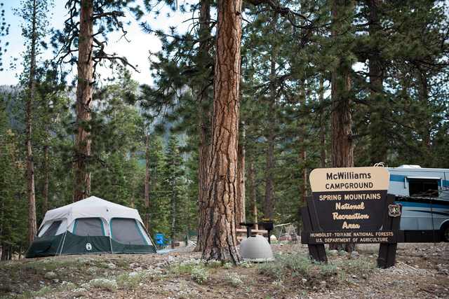 Spring Mountains National Recreation Area Camping