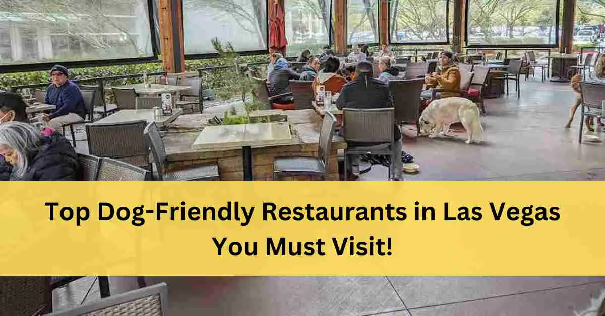 Dog Friendly Restaurants Las Vegas