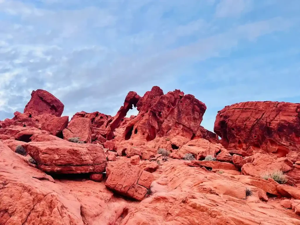 Elephant Rock At Valley Of Fire State Park