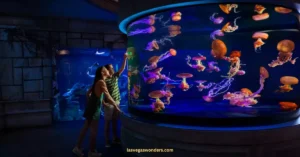 Shark Reef Aquarium at Mandalay Bay Las Vegas