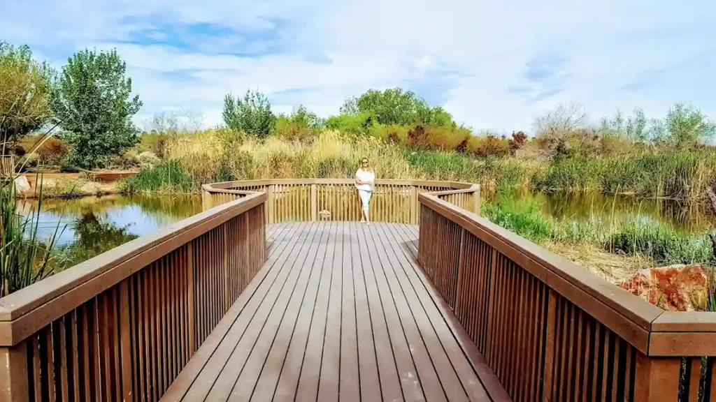 Clark County Wetlands Park