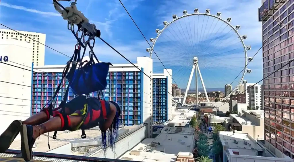 Fly LINQ Zipline