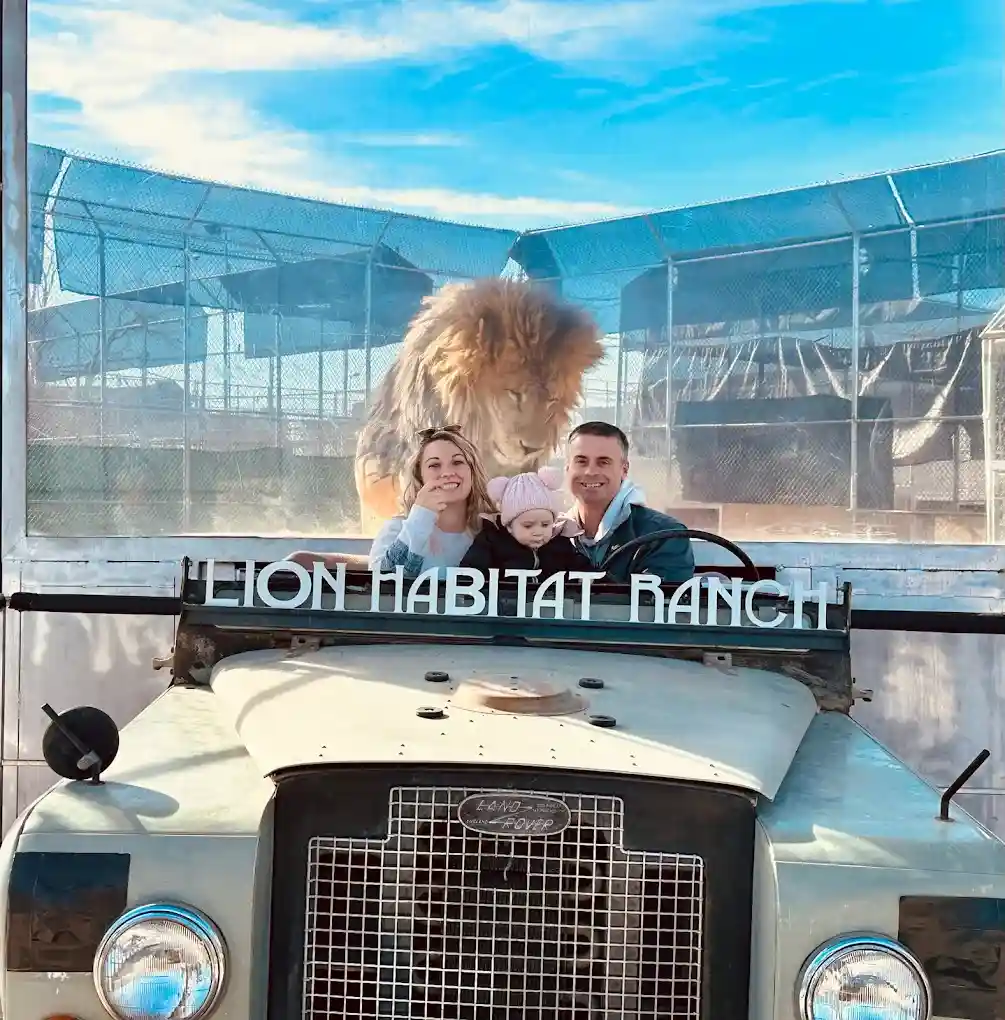 Lion Habitat Ranch