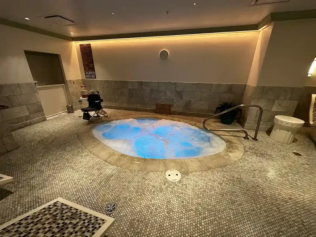 Private Pool of Park MGM