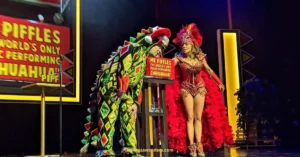 Piff the Magic Dragon Las Vegas - Schedule, Tickets & Show Dates