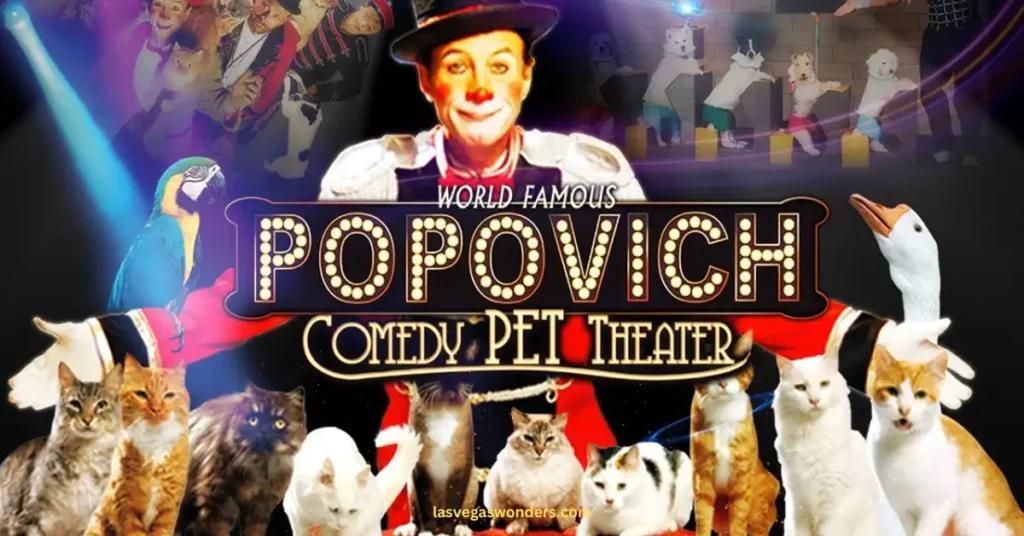 Popovich Comedy Pet Theater Las Vegas - Tickets, Showtimes, Best Seats
