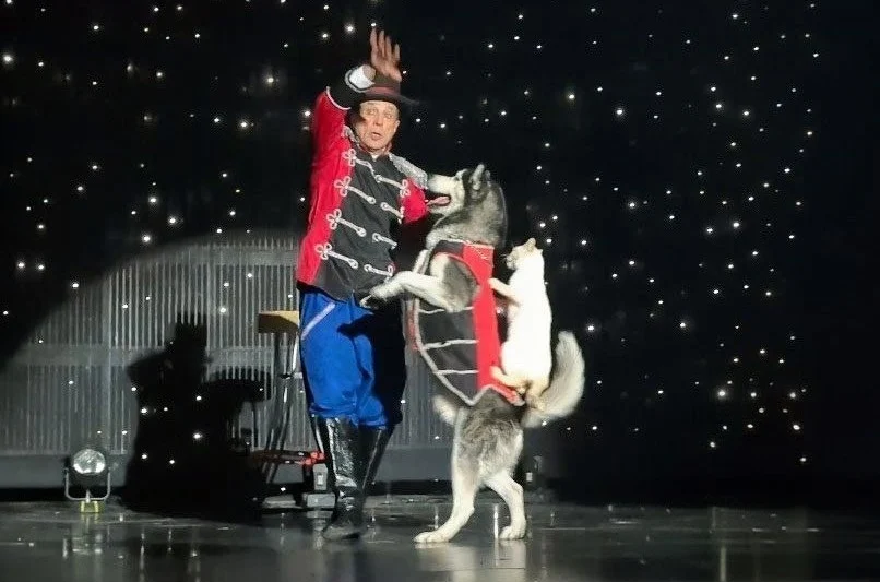 Popovich Comedy Pet Theater Las Vegas