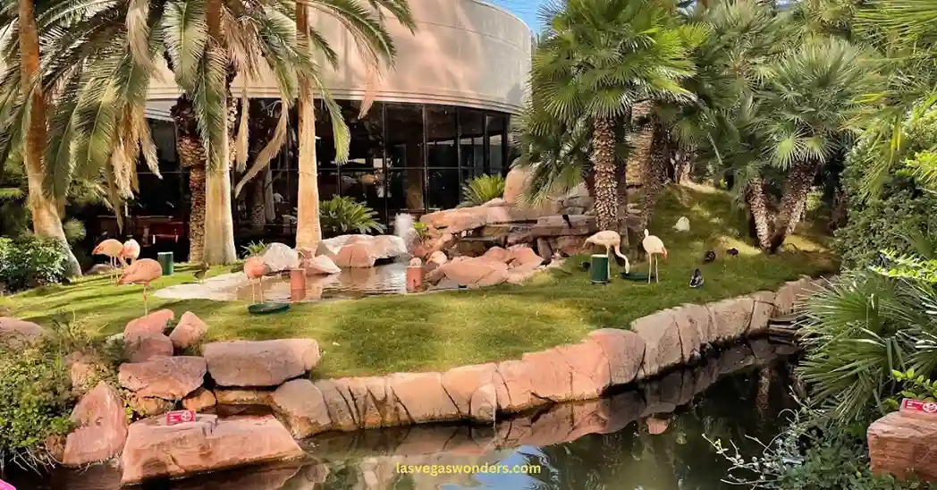 Flamingo Wildlife Habitat Hours - Opening & Closing Times