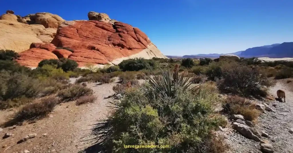 Red Rock Canyon Hours - Gate Opening & Closing Times