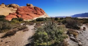 Red Rock Canyon Hours - Gate Opening & Closing Times
