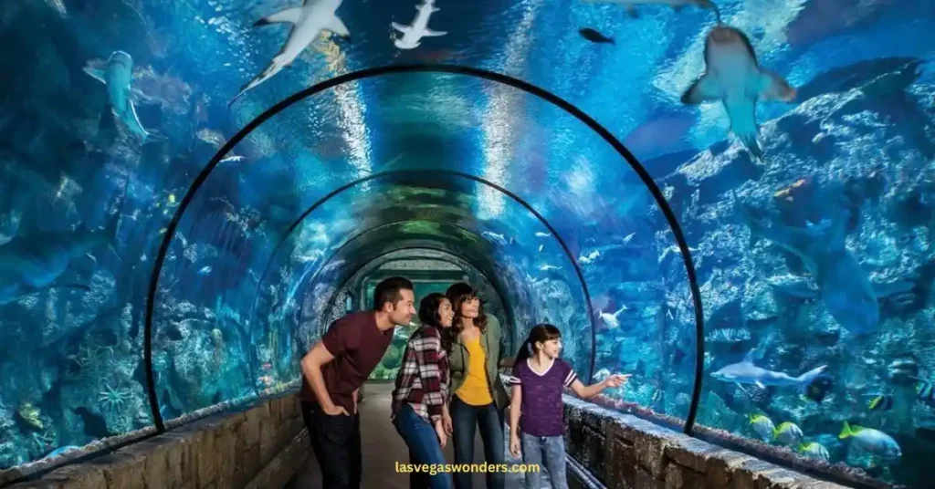 Shark Reef Aquarium Las Vegas Hours - Schedule & Tickets