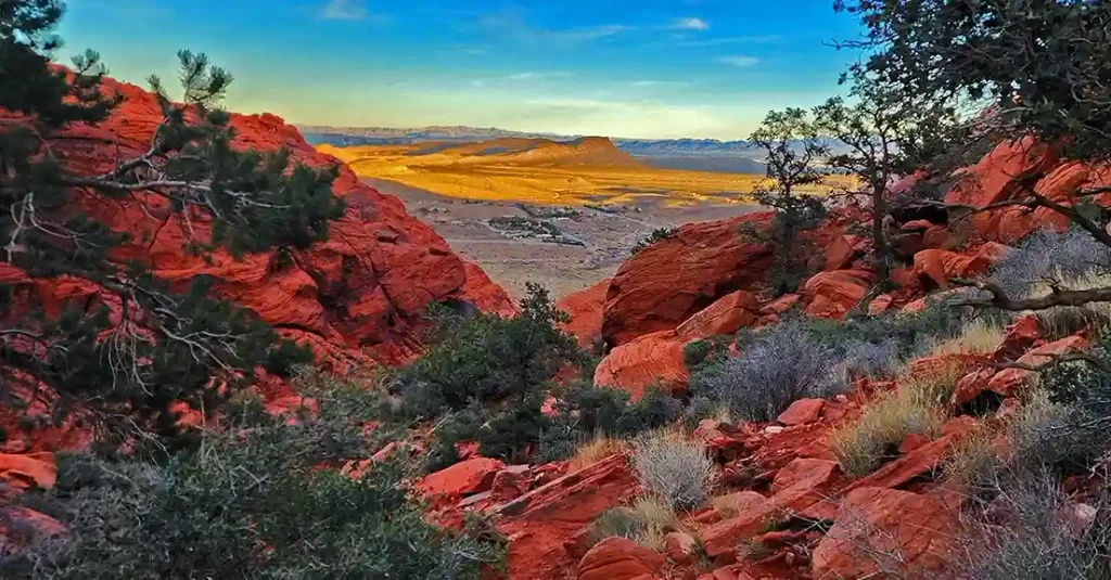 Calico Basin
