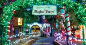 Magical Forest Las Vegas - Opening Dates & Tickets